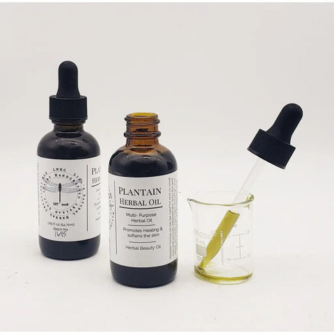 Plantain Herbal Oil - herbal oil