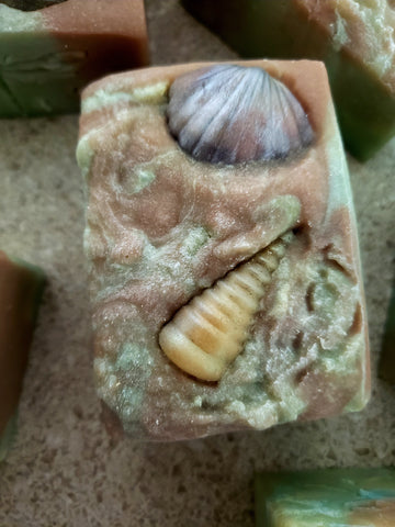 Tropical Blast Artisan Soap - Beachy Sea Shell Scene - Soaps