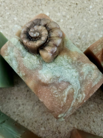 Tropical Blast Artisan Soap - Beachy Sea Shell Scene - Soaps