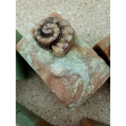 Tropical Blast Artisan Soap - Beachy Sea Shell Scene - Soaps
